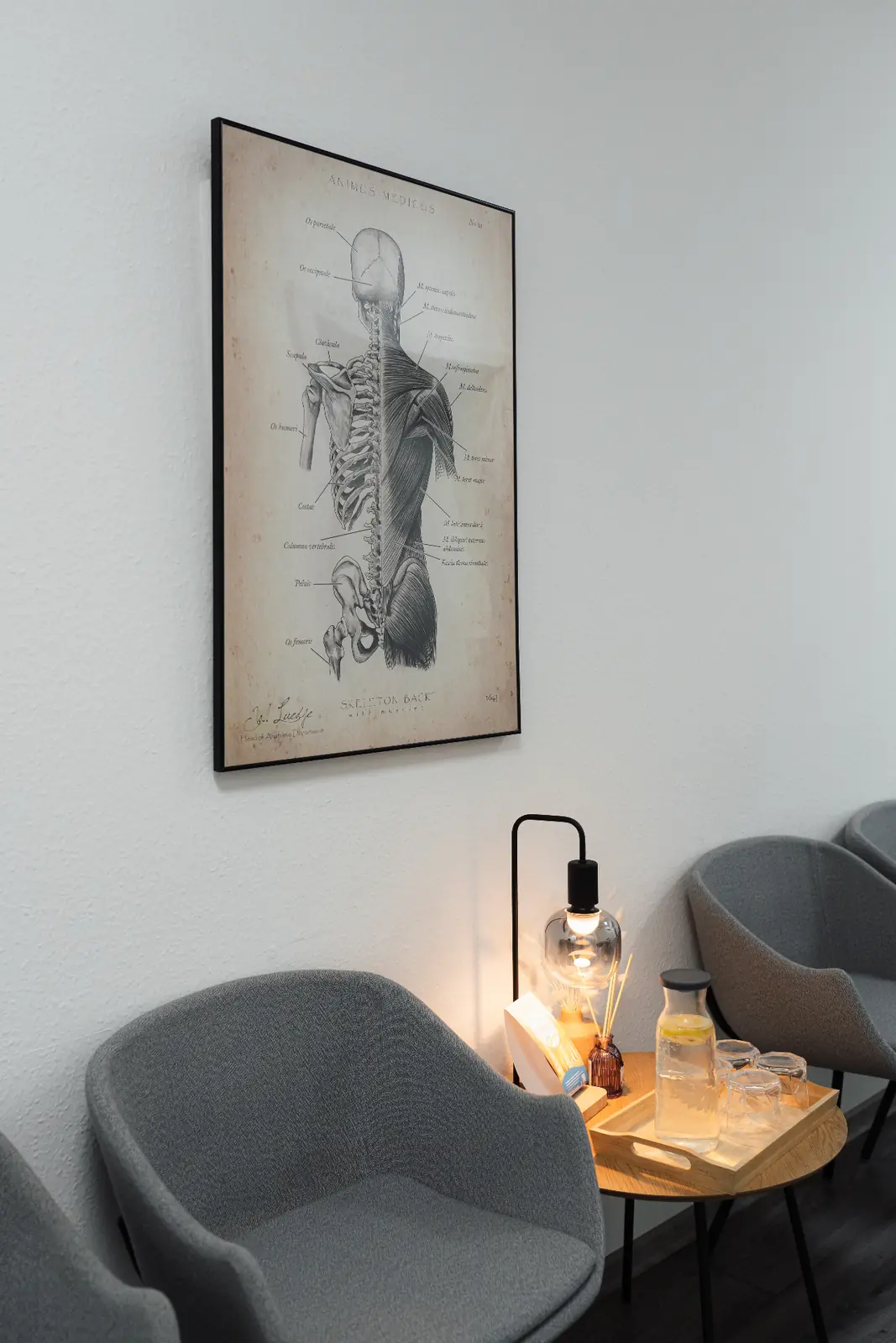 Wartebereich der Praxis Tenschert mit anatomischer Illustration